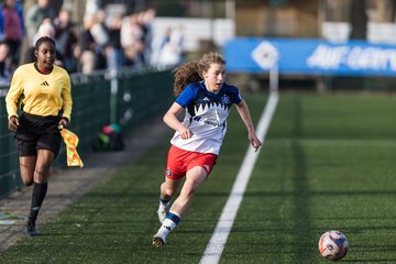 Bild 417 - wBJ Hamburger SV - Hertha BSC : Ergebnis: 2:1
